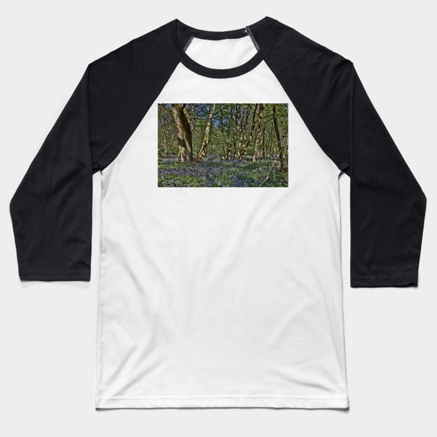 Bluebells in the woods Baseball T-Shirt by avrilharris
